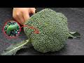 Washing Broccoli With Just Water Is Wrong Here S The Right Way