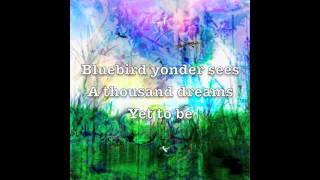 Field of Dreams - Merry Ellen Kirk (Lyric Video)