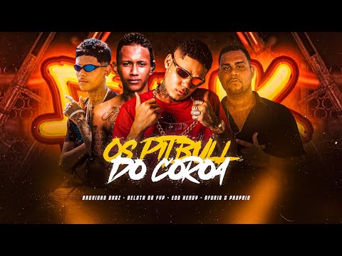 OS PITBULL DO COROA - EOO KENDY, BELOTA FVP, BRUNINHO BRAZ, AFURIA O PRÓPRIO #bregafunk