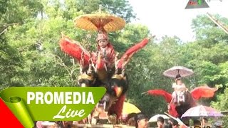 preview picture of video 'Singa Dangdut Warlan Muda - Wong Tani'