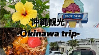 【沖縄旅行】観光スポット巡り🌈