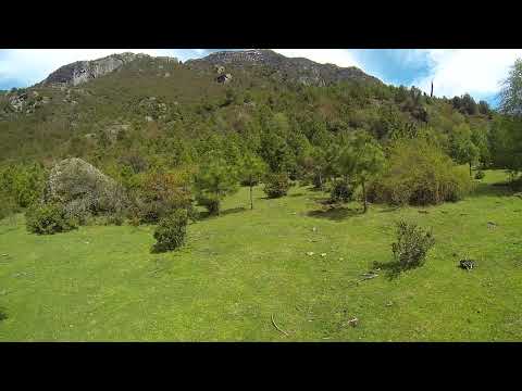 Terreno en venta Futaleufú: acceso y bosque nativo | 23 ha Lago Espolón, Patagonia (Land for Sale)
