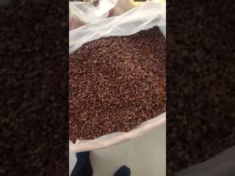 Brown whole lalpari dry cloves, packaging size: 10 kg