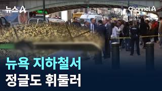 뉴욕 지하철서 정글도 휘둘러…3명 부상