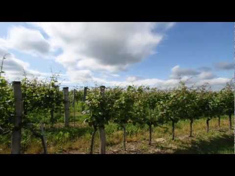 Gemeinde Höflein Präsentationsfilm 2011