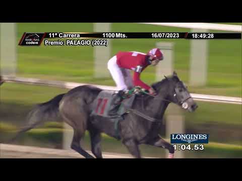 230716 c11 LA GATA FLORA