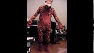 animals in identity crisis 1