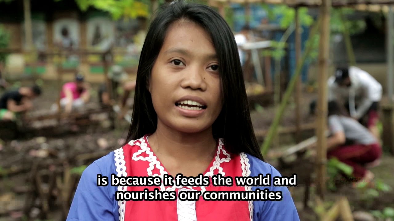 Putar video PAMULAAN - An Indigenous University sekarang PAMULAAN - An Indigenous University