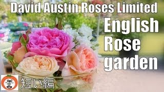 preview picture of video '【 うろうろ近畿 】 短い編 David Austin Roses English Rose Garden in Japan　大阪 デビッド オースチン イングリッシュ ローズ ガーデン'