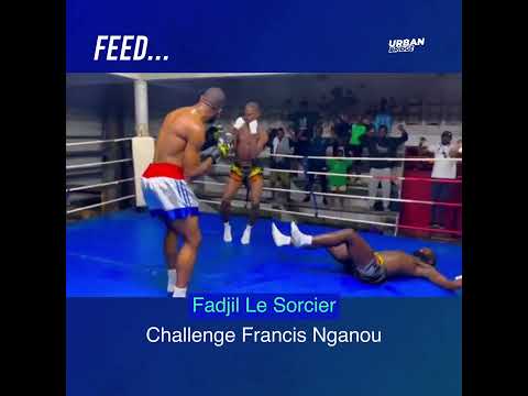 Fadjil Le Sorcier - Francis Ngannou (challenge)