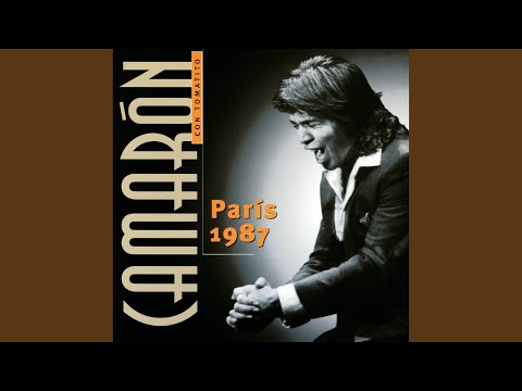 Más Duro Que El Acero (Fandangos / En Directo En El Cirque d'Hiver de París)