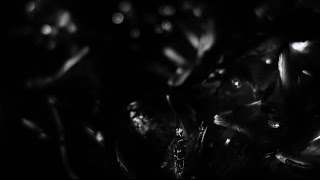 Dustin Kensrue - Carry The Fire