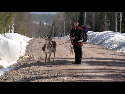 The Last Generation? Sami Reindeer Herders in Swedish Lapland