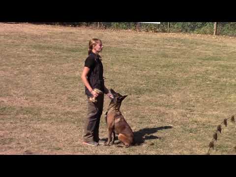 Nike DVG Prüfung Düngenheim