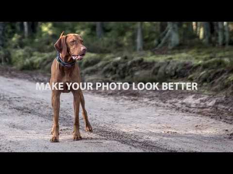 How to make your photo look better with local contrast (clarity) using darktable