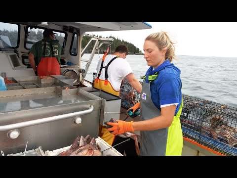 Ep. 1: Road to Disaster (ft. Voices of Maine Lobstermen)