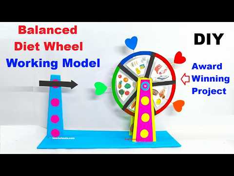 balanced diet working wheel model for healthy life science project howtofunda nutrition wheel