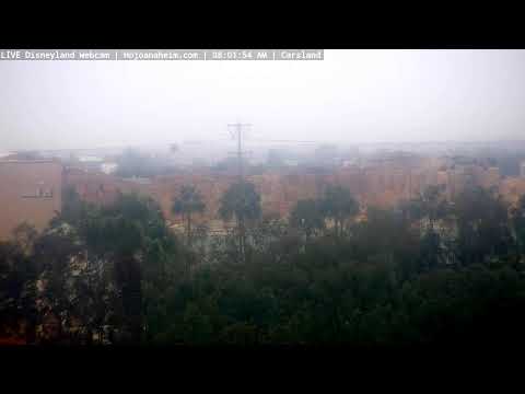 Live webcam of Disneyland Cam