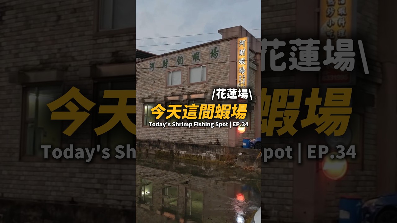 今天這間蝦場EP.34【MLS蝦戰天下】#17shrimp #台湾のエビ釣り #shrimpfishing #새우낚시