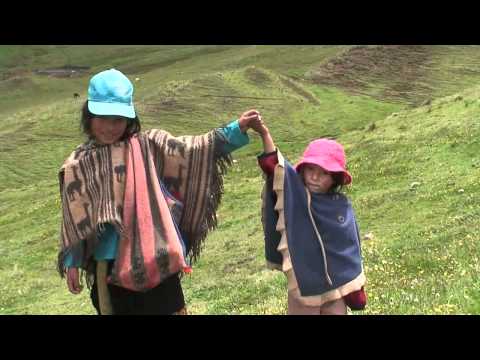 MARGOT PALOMINO TEMA  TRILCE EN HD