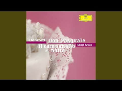 Donizetti: Don Pasquale / Act 1: "Vado, corro... "