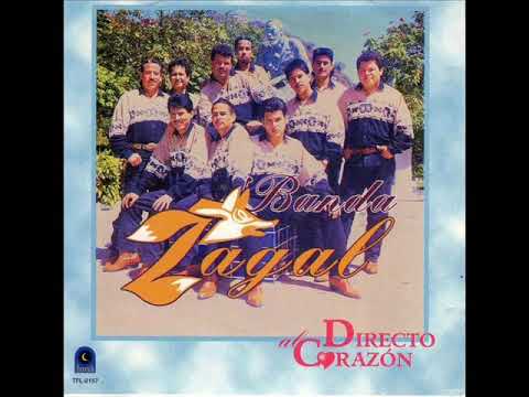 Video Si Me Das Tu Corazón (Audio) de Banda Zagal