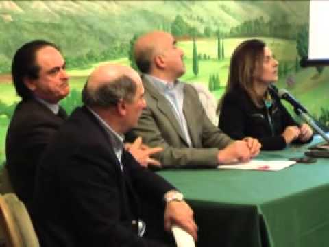 ONDA TG 27.02.2013 - DMC INCONTRO