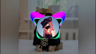 Download lagu DJ aca aca nehi nehi || dj terbaru 2021 viral tik tok mp3 Download lagu DJ aca aca nehi nehi || dj terbaru 2021 viral tik tok mp3