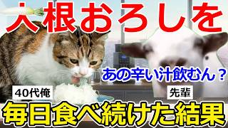 【猫ミーム】その健康習慣、逆効果かも…大根おろしを毎日食べ続けた結果…