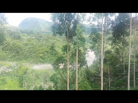 Paisaje en San Bernardo de Bata - Toledo - Norte de Santander