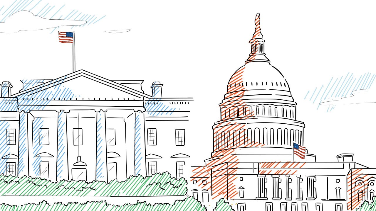 Agency Capacity Building