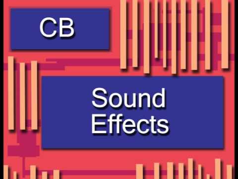 CB Sound Effects - crickets sound effect 2 (S2 SE2)
