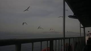 julien doré - eden (acoustıc)