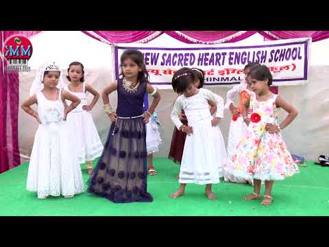 Choti Si Pyarisi Nanhisi dance performance,NEW SACRED HEART ENGLISH SCHOOL.