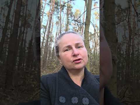 Agnieszka Zdrzalik-38
