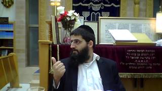 פרקי אבות - פרק ב משנה ב - אם אין דרך ארץ אין תורה!!!
