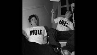 MOLE & IRIS - Brighton Summers