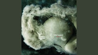 While the Jackass Operation Spins Its Wheels