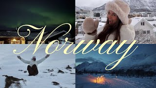 Travel vlog - Travel Diaries: A Magical Week in Tromsø, Norway | Northern Lights, Arctic Swimming, Reindeer