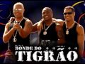 Só as cachorras: Bonde do Tigrão 