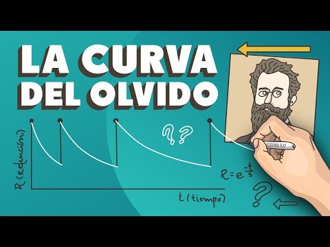 La curva del olvido | Tips para planificar el estudio