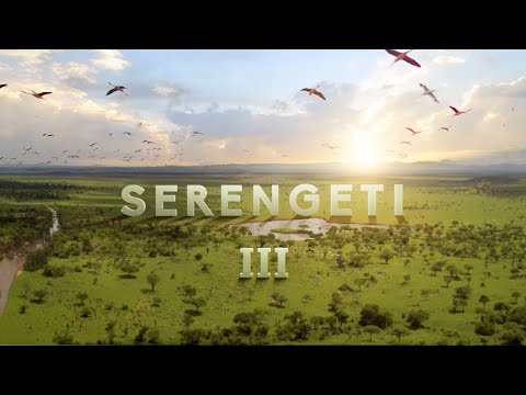 Serengeti (2019-2023)