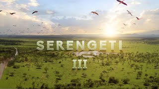 Serengeti III | Official Trailer