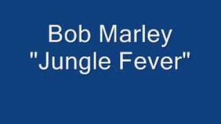 Bob Marley rare song! &quot;jungle fever&quot;