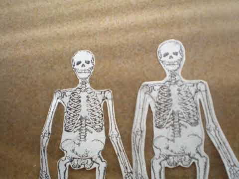 The Hidden Cameras - Boys of Melody