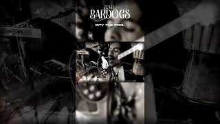 Download lagu The Bardogs - Pity The Fool #bali #music #band #song #thebardogs #indonesia mp3