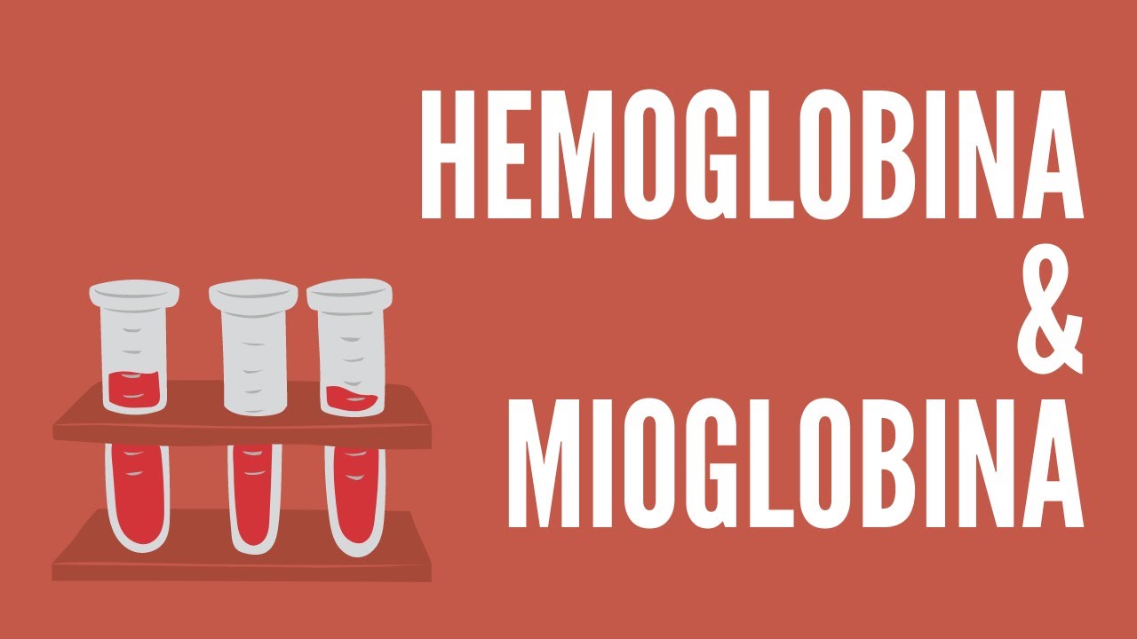 Hemoglobina e mioglobina