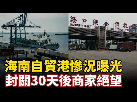 海南自貿港慘況曝光，封關30天後商家絕望！滿城冷清免稅城生意成片熄火港口空蕩，物價狂飆暴漲逼瘋千萬月薪3000島民#中国社会 #海南封关#自贸港#免税
