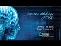 SBNI Lunch Lecture Series The Neurobiology Of PTSD