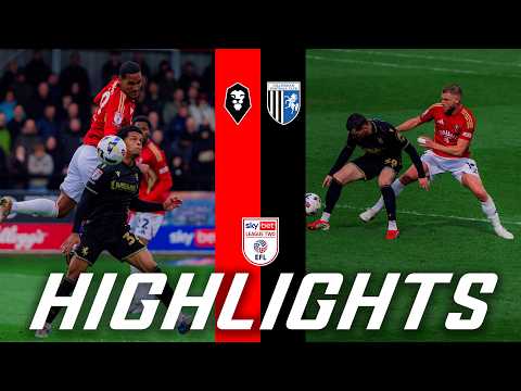 bg-highlight